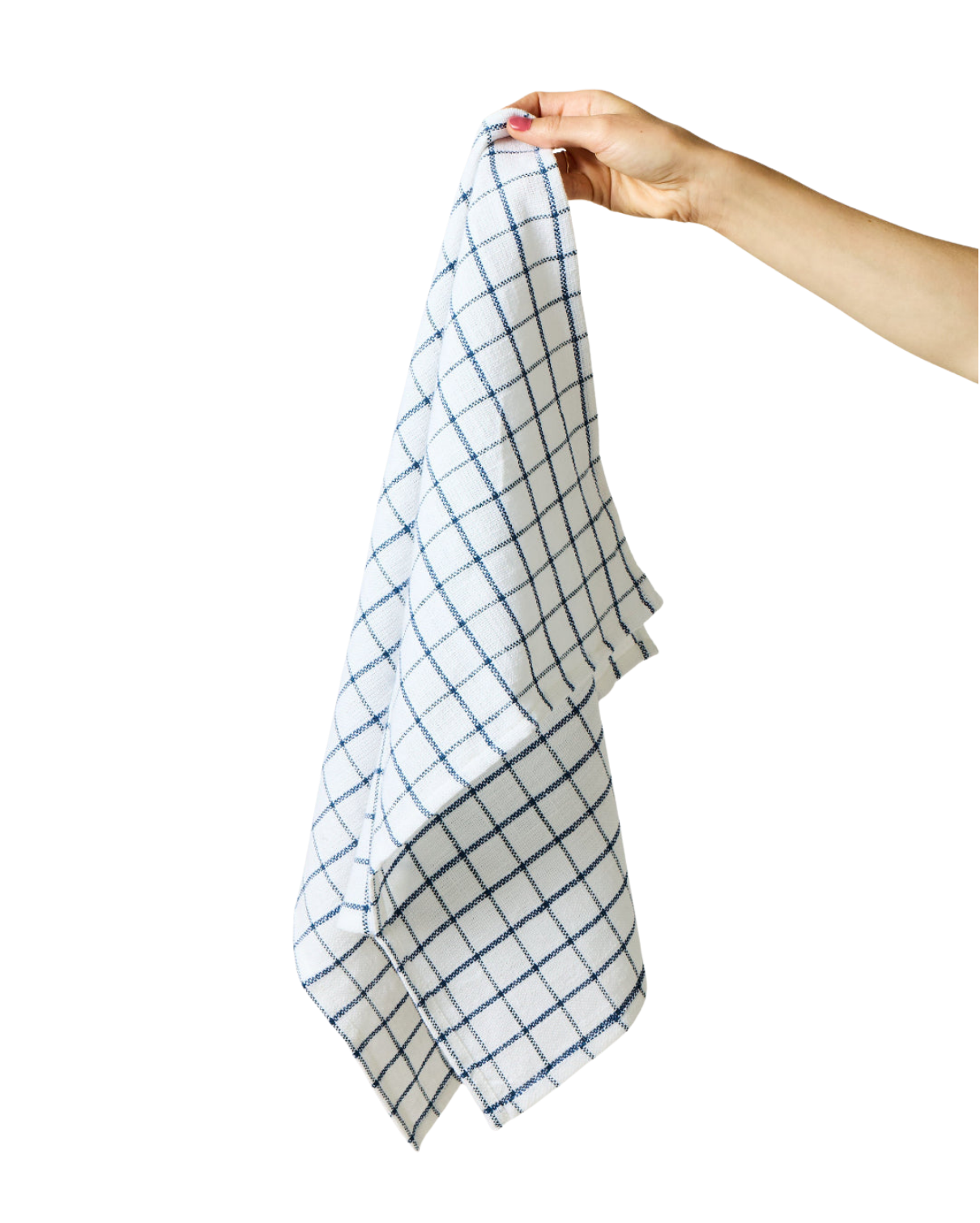 Pantry Cotton Check Kitchen Towels Set